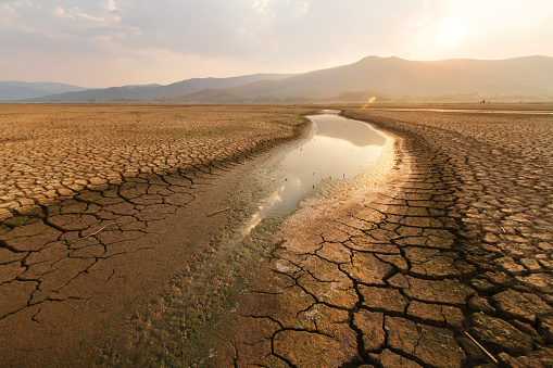 Climate-Smart Livelihoods & Economic Empowerment