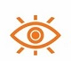 Vision